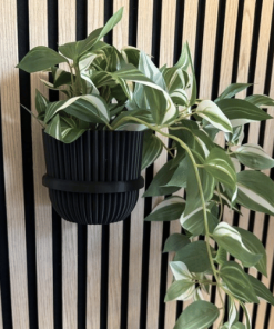 Plantenring Akoestisch Paneel – Zonder Boren